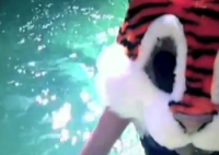 Fashion Film Variety: SHOWstudio Edition