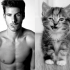 Des Hommes et des Chatons. Männermodels und Katzenbabies.